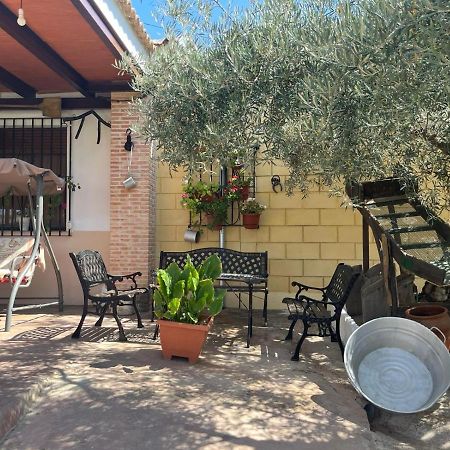 Casa Rural El Cuco Luque Dış mekan fotoğraf