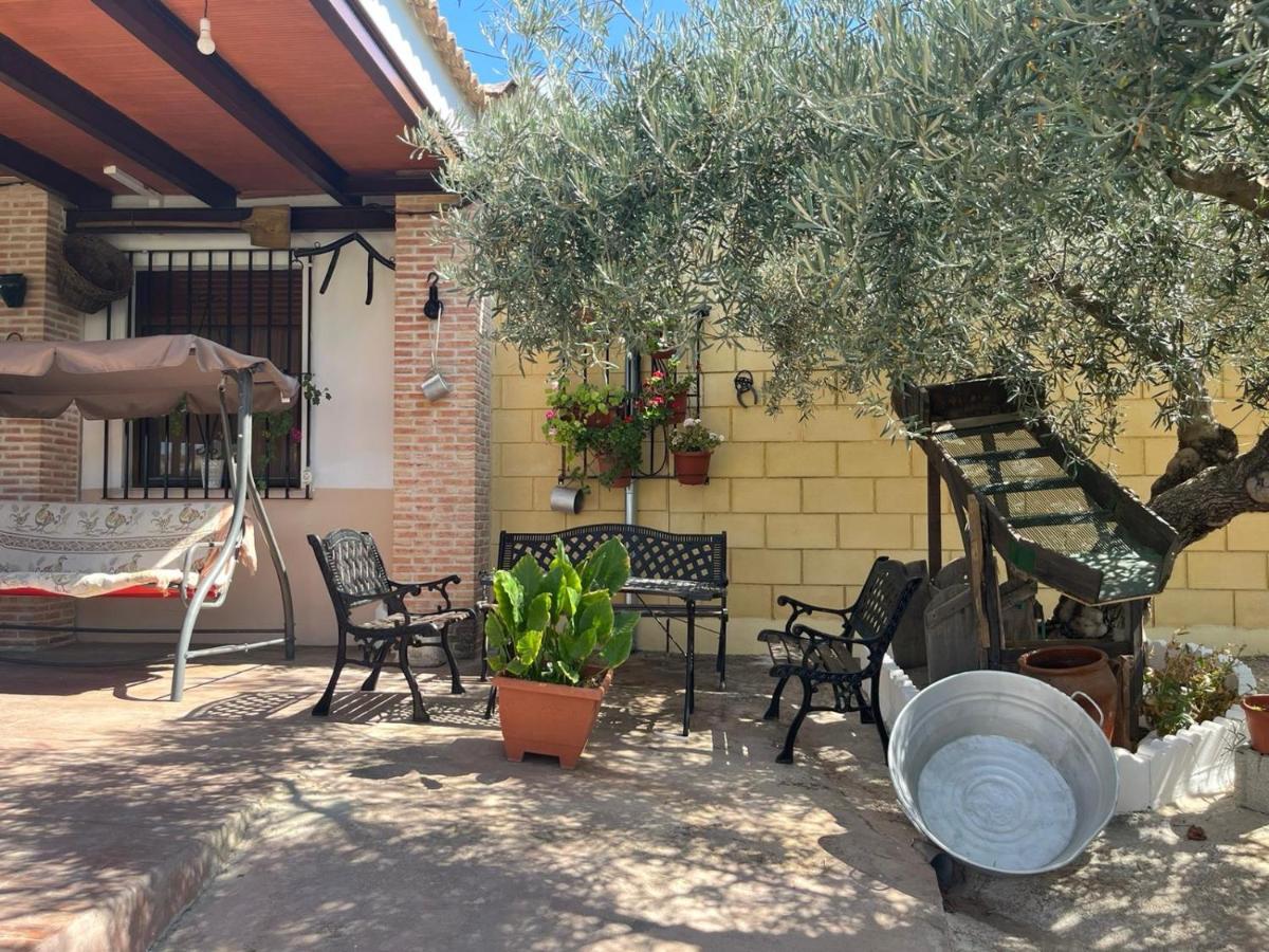Casa Rural El Cuco Luque Dış mekan fotoğraf
